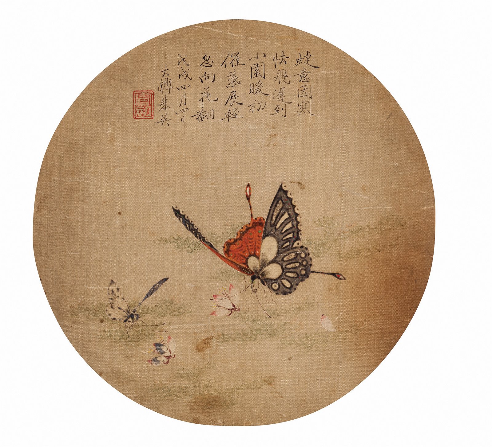 花蝶图
